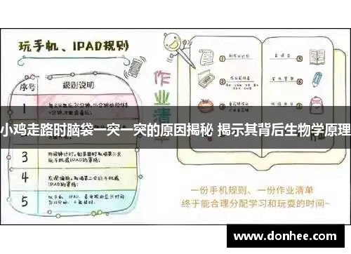 小鸡走路时脑袋一突一突的原因揭秘 揭示其背后生物学原理